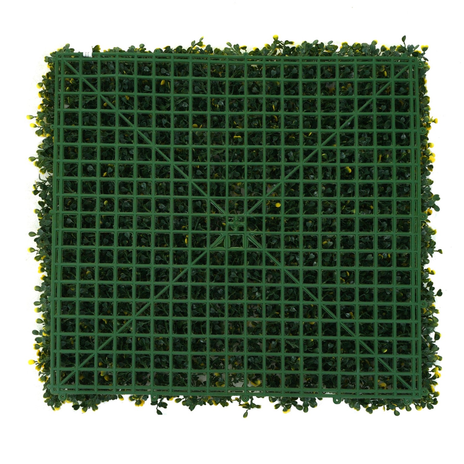 MCW Wandfliese L78 Buchs Grün-Gelb: Quadratische, grüne Kunsthecke mit gelben Akzenten für den Innen- und Außenbereich.