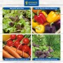 Gemüsesamen-Set 'Kunterbuntes Gärtnern' mit Salat, Paprika, Möhren, Radieschen und Kräutern.