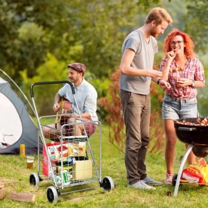 Silberner klappbarer Einkaufstrolley 83L, gefüllt mit Lebensmitteln, beim Camping. Ideal für Transport.