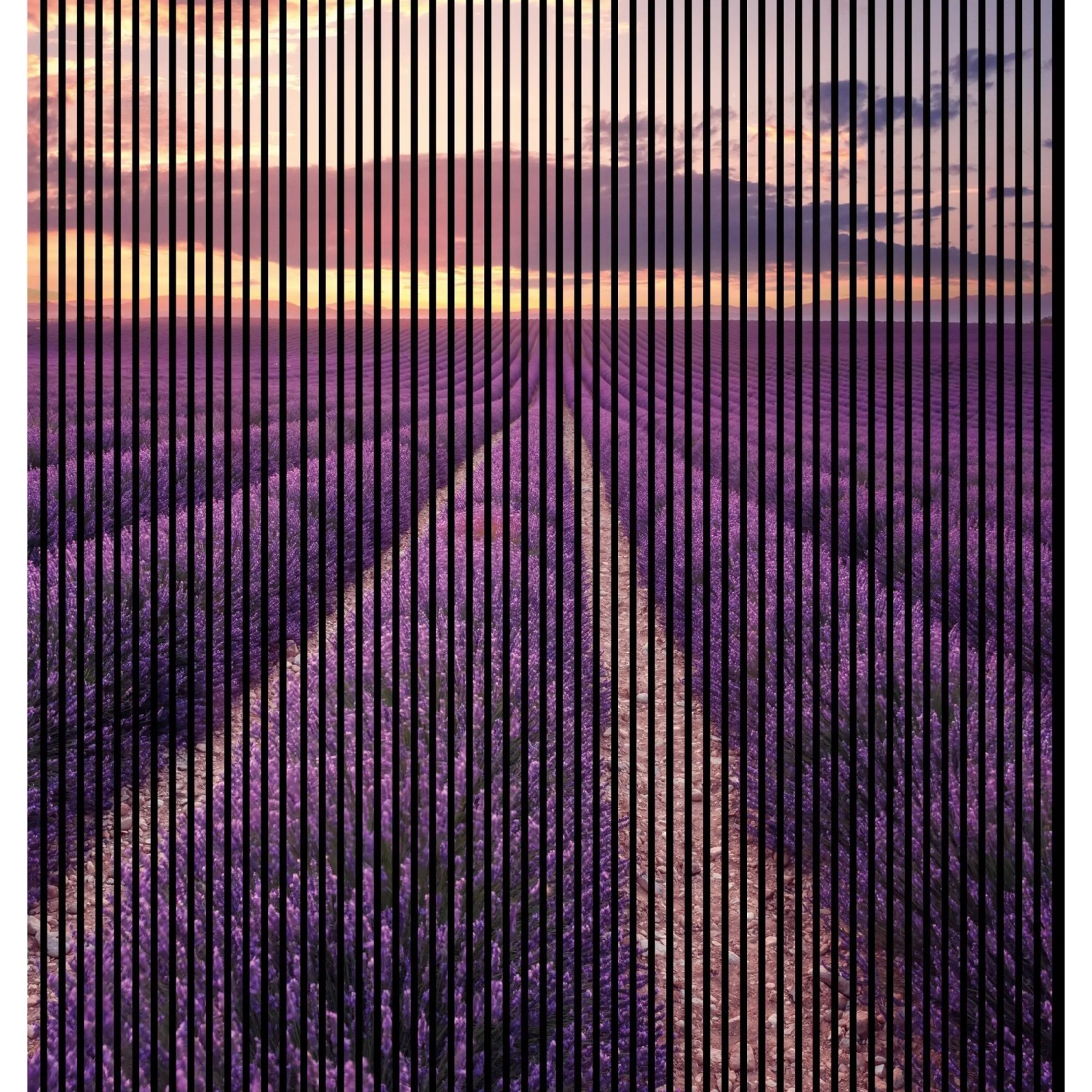 FN Acustico Akustikplatte Lavendel 1 PET u. MDF Foliert 2.253 x 19 x 2.400 mm