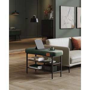 Grüne Vasagle Schuhbank (80x50cm) mit Polster, Ablagen und Laptop im Wohnzimmer.