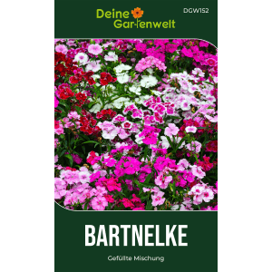 Samenpackung Deine Gartenwelt Snackgurke Iznik F1, Mini-Gurken auf der Packung.