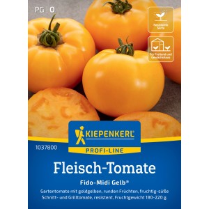 Kiepenkerl Fleisch-Tomate Fido-Midi Gelb: Goldgelbe, runde Tomaten, ideal für Garten und Gewächshaus.