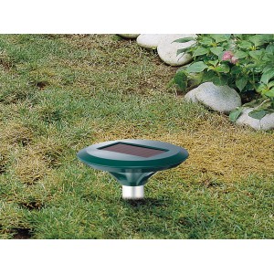 Solar-Maulwurfvertreiber im Rasen, bis 850 m² Reichweite. Tierfreundliche Wühlmausabwehr mit Solarpanel.