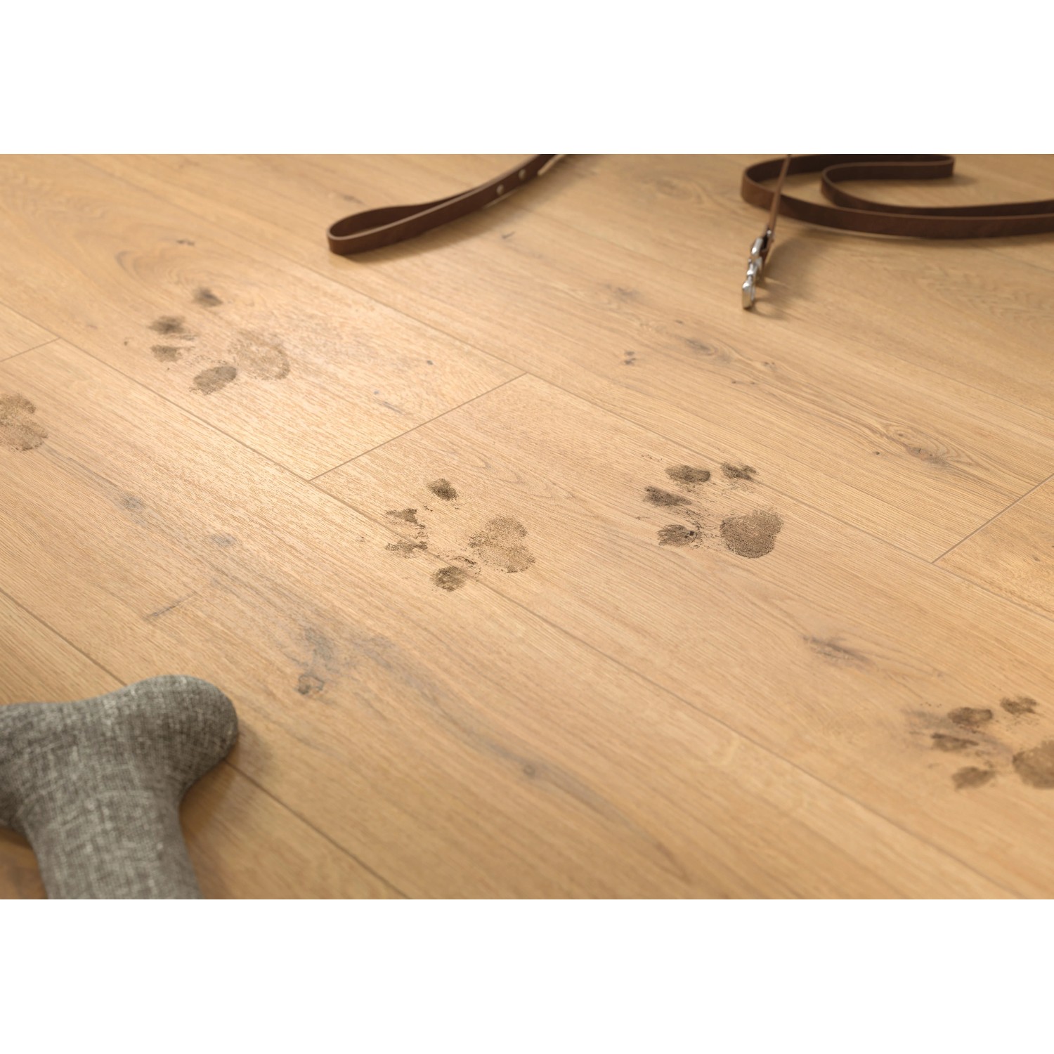 Egger Laminat NatureSense Aqua Eiche Honig mit Hunde-Pfotenabdrücken, Hundeleine und Spielzeugknochen.