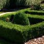 Buxus Kegel 80-90 cm als grüne Heckenpflanze in formalem Garten.