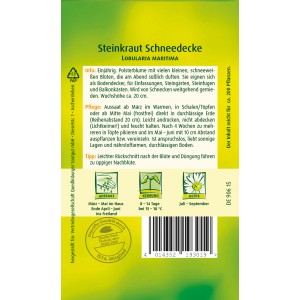 Samenpackung Quedlinburger Steinkraut 'Schneedecke', weiße Blüten für Steingärten und Balkonkästen.