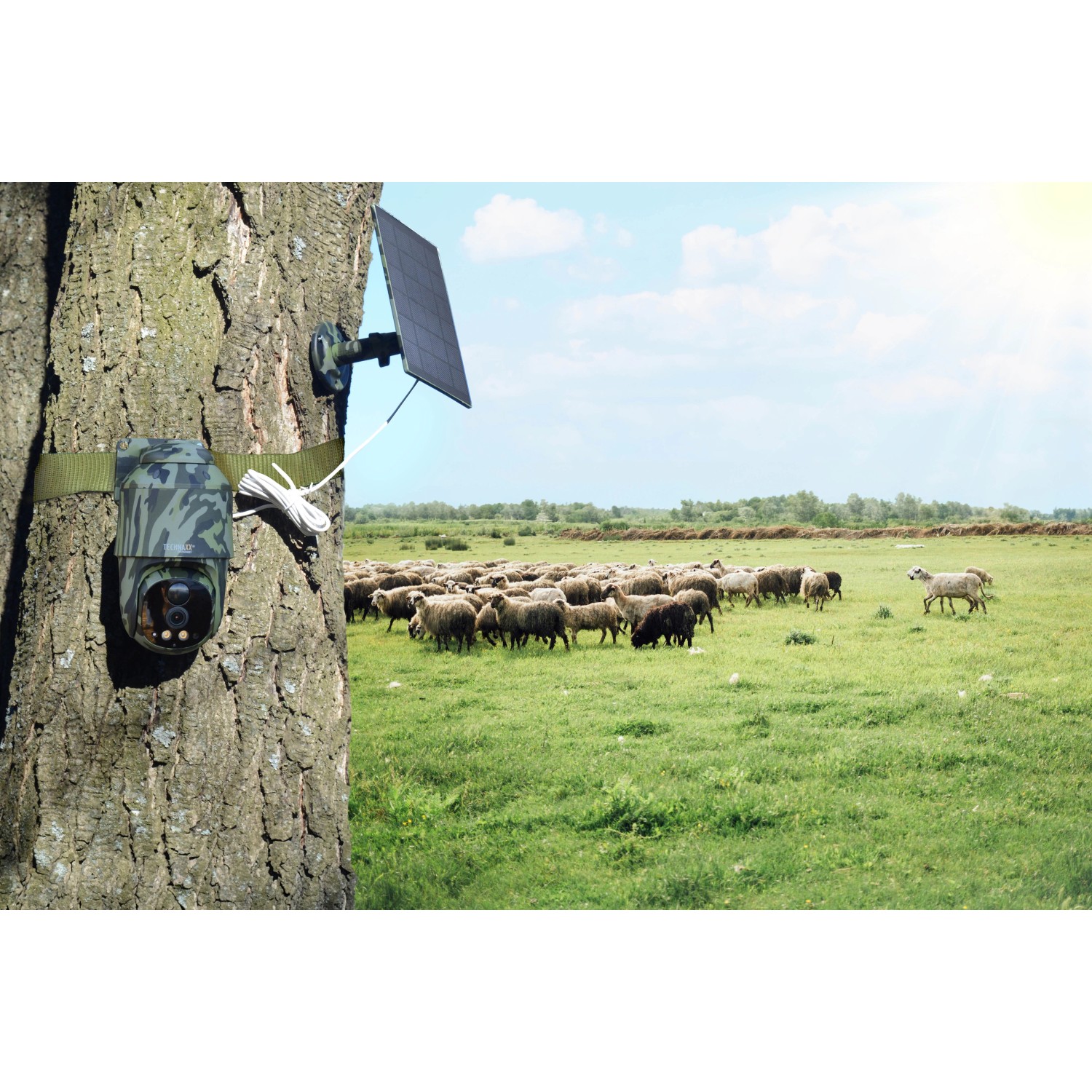 Technaxx TX-290 Überwachungskamera mit Solarmodul am Baum, Schafherde im Hintergrund.