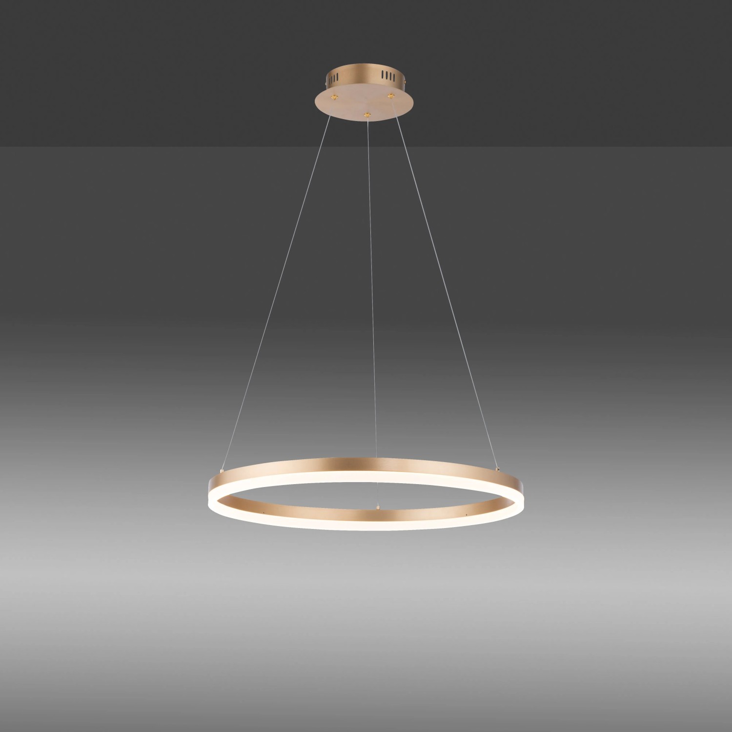 Moderne, dimmbare LED-Pendelleuchte Titus von Paul Neuhaus, 40 cm Durchmesser, Messing matt.