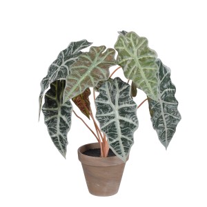 Mica Decorations Kunstpflanze Alocasia im Topf, grün, 44cm hoch. Dekorative Elefantenohr-Pflanze.