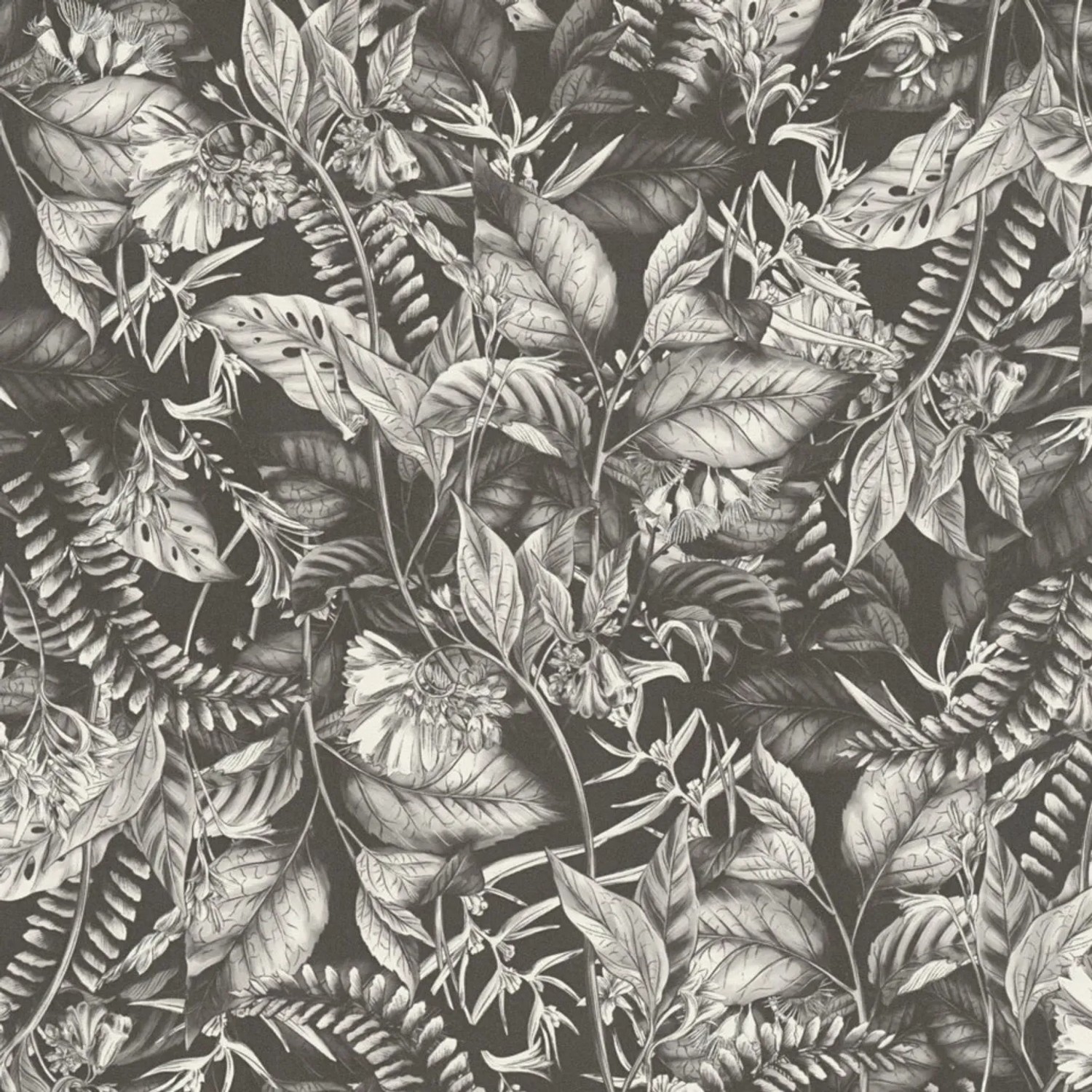 Tadessi Tapete Floral M1-No.4493 Vliestapete in Schwarz