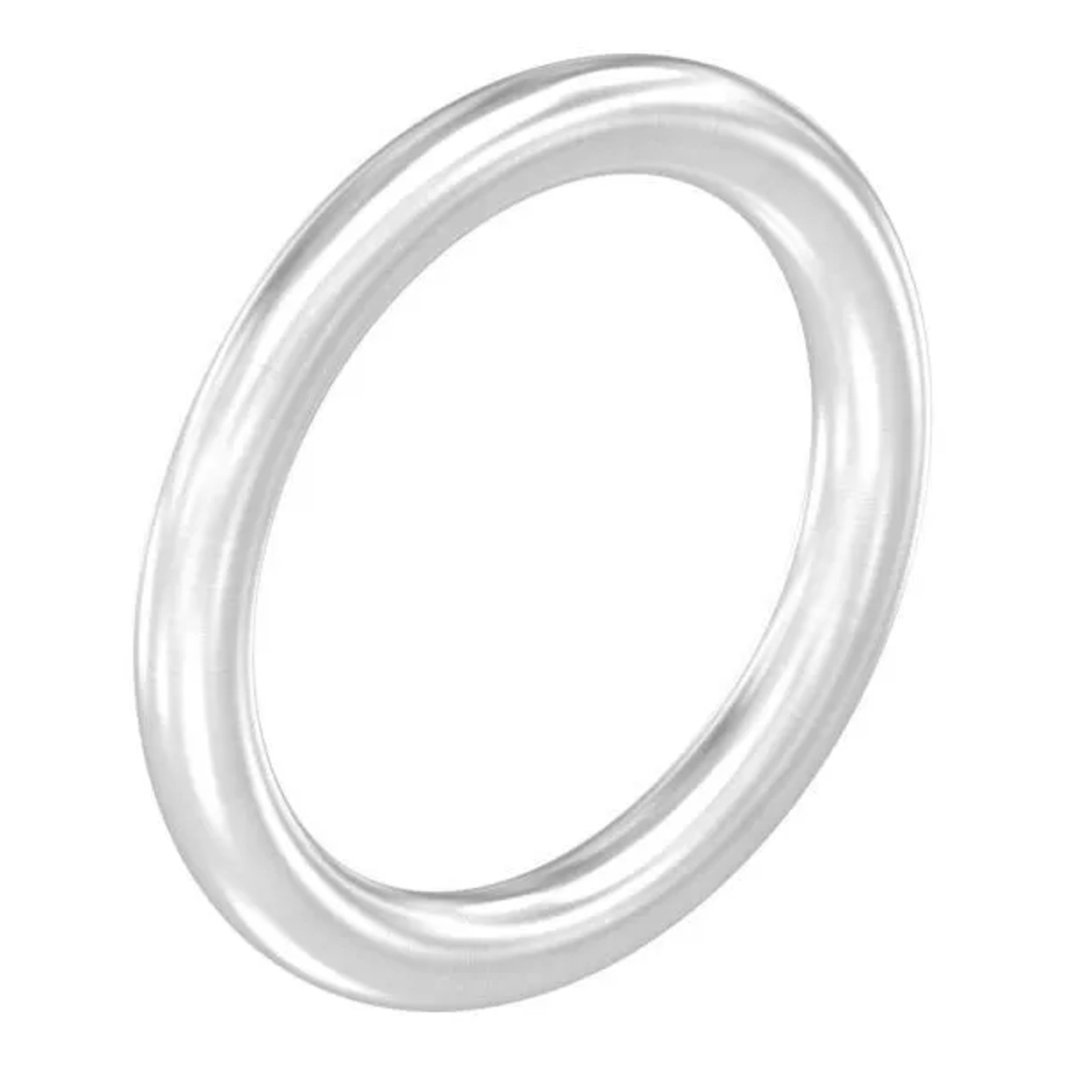 FeNau Ring Edelstahl V2A Ø 12 mm Außen Ø 100 mm Geschliffen Korn 240