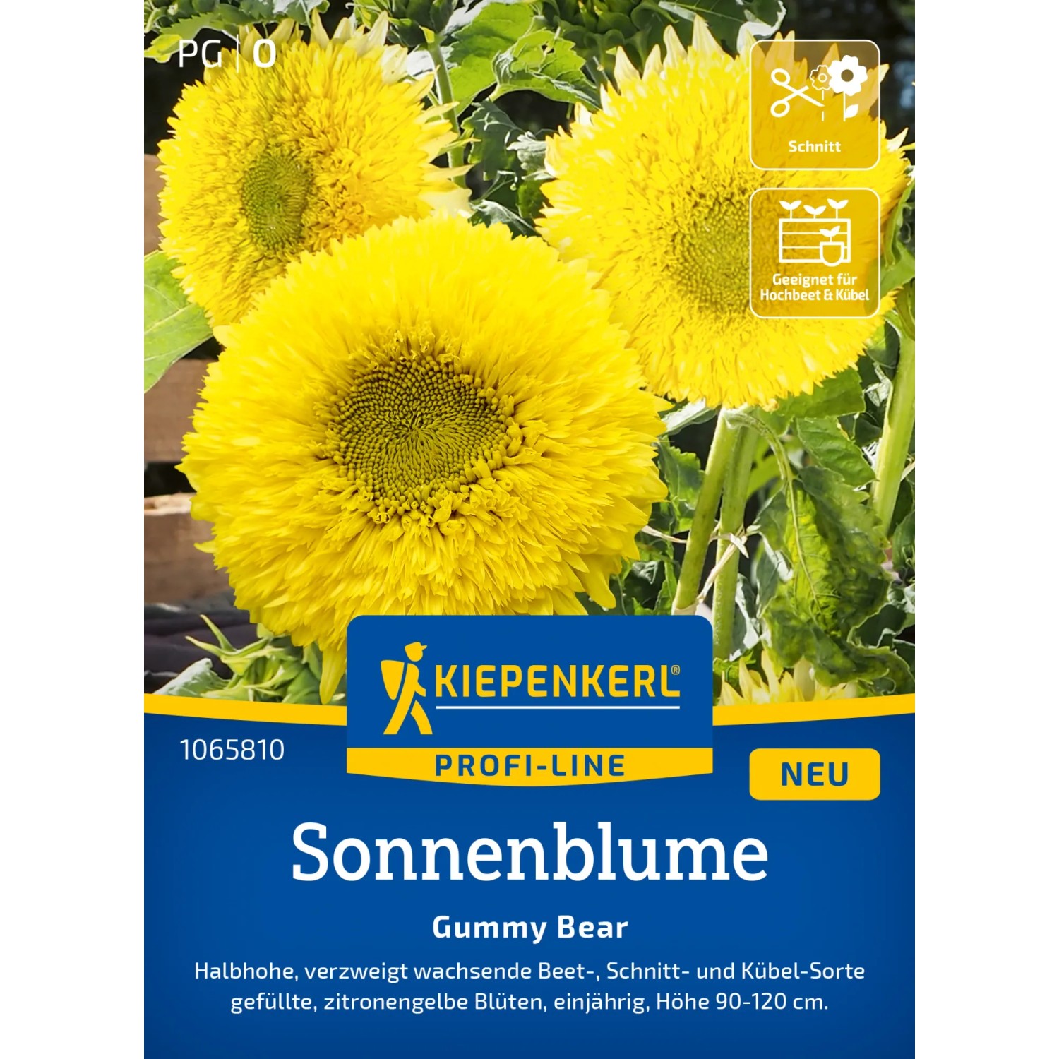 Kiepenkerl Sonnenblume "Gummy Bear" Helianthus annuus