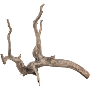 Sera Aquarien-Wurzel Scaper Root XS, ca. 18-20 cm, für naturnahe Aquariengestaltung.