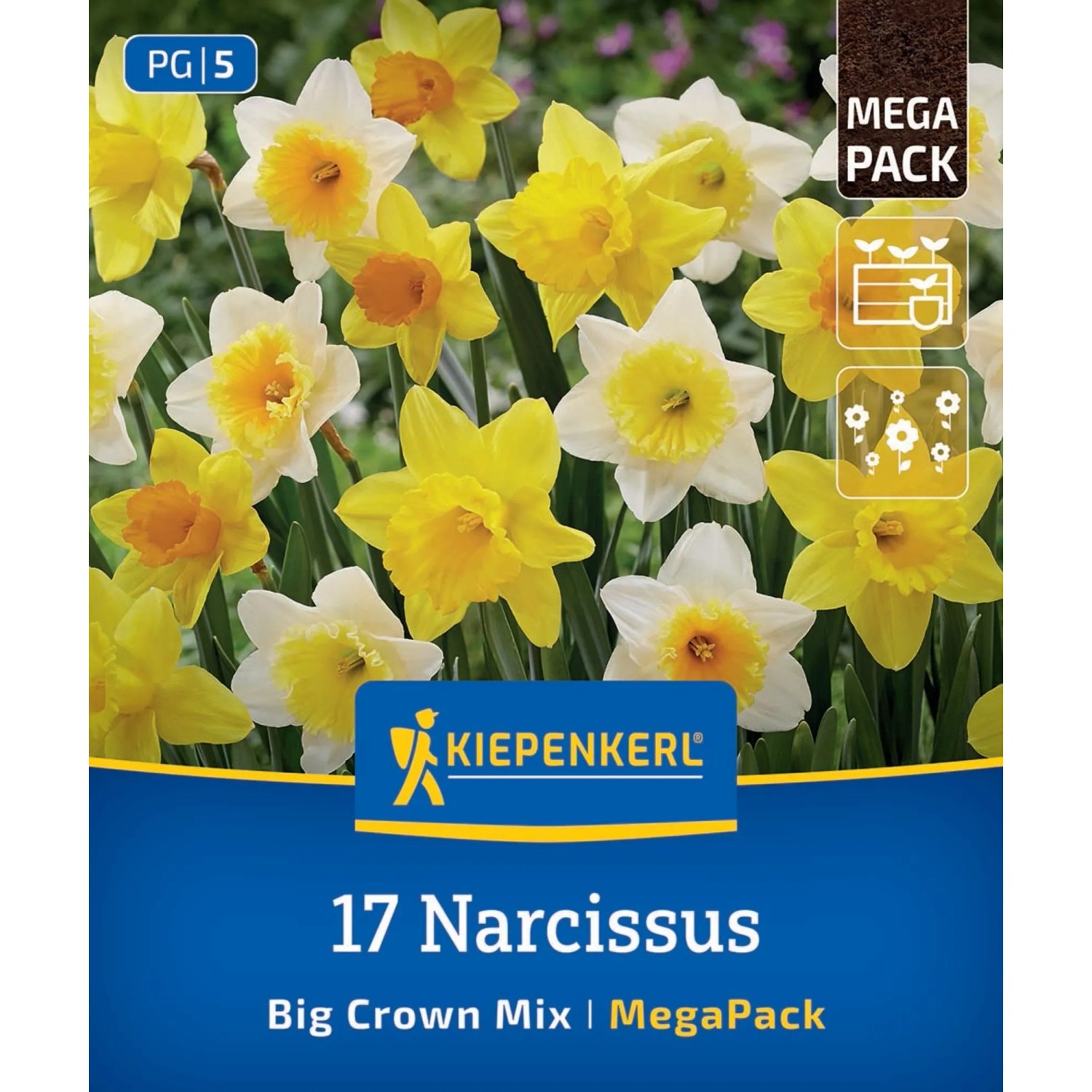 Kiepenkerl Blumenzwiebel Mega-Pack Narzissen Großkronige Mischung 17 Stück