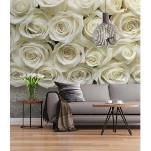 Fototapete A la Rose: Detailaufnahme von weißen Rosenblüten als Wanddekoration im Wohnzimmer.