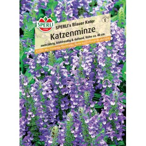 Sperli Katzenminze Blauer Kater Samen, blühende, blaue Duftpflanze für Beet und Garten.
