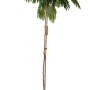 Pflanzen-Boering Albizia Julibrissin Ombrella Seidenbaum Stamm 160-170 cm Stammhöhe 120 cm