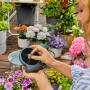 Gardena Aqua Bloom Solar-Bewässerungsset in Nutzung, automatische Bewässerung für Balkon und Terrasse.