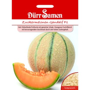 Dürr Samen Zuckermelone Gandalf F1: Melone und Melonenscheibe, Saatgutpackung.