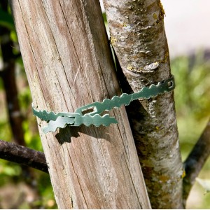 Windhager Universalbinder zum Anbinden von Pflanzen an einem Holzpfahl im Garten.