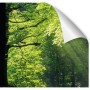 Myspotti Küchenrückwandfolie Sommerwald, selbstklebend, 280x60 cm, mit Waldmotiv.