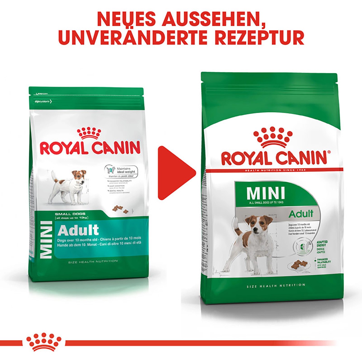 Hundefutter Kleine Hunde In Soe Royal Canin Mini Adult In Soe 4er Pack -  Nassfutter Fr Kleine Hunde 1-10 Kg