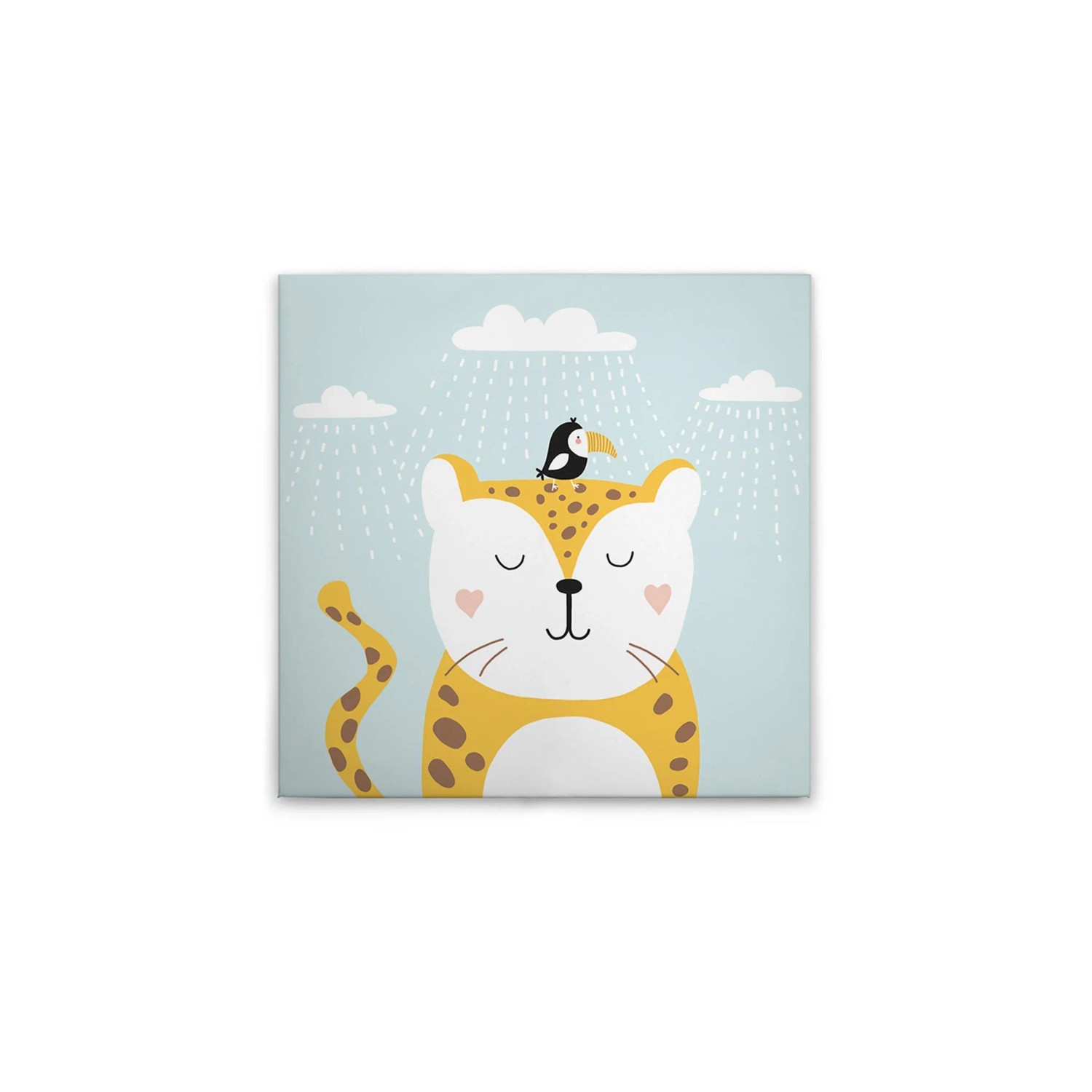 Tadessi Leinwandbild - M1-No.50638 - Katze - 40 x 40 cm - Quadratisch