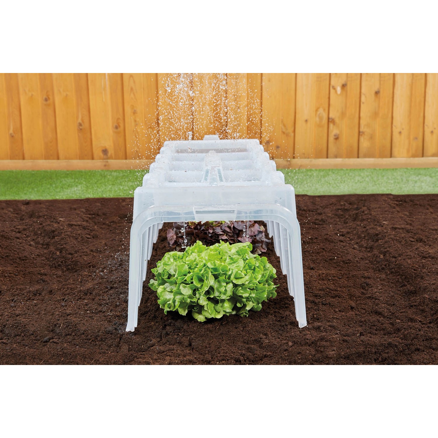 Garantia Pflanztunnel Sunny 5er-Set über Salatpflanze im Garten.