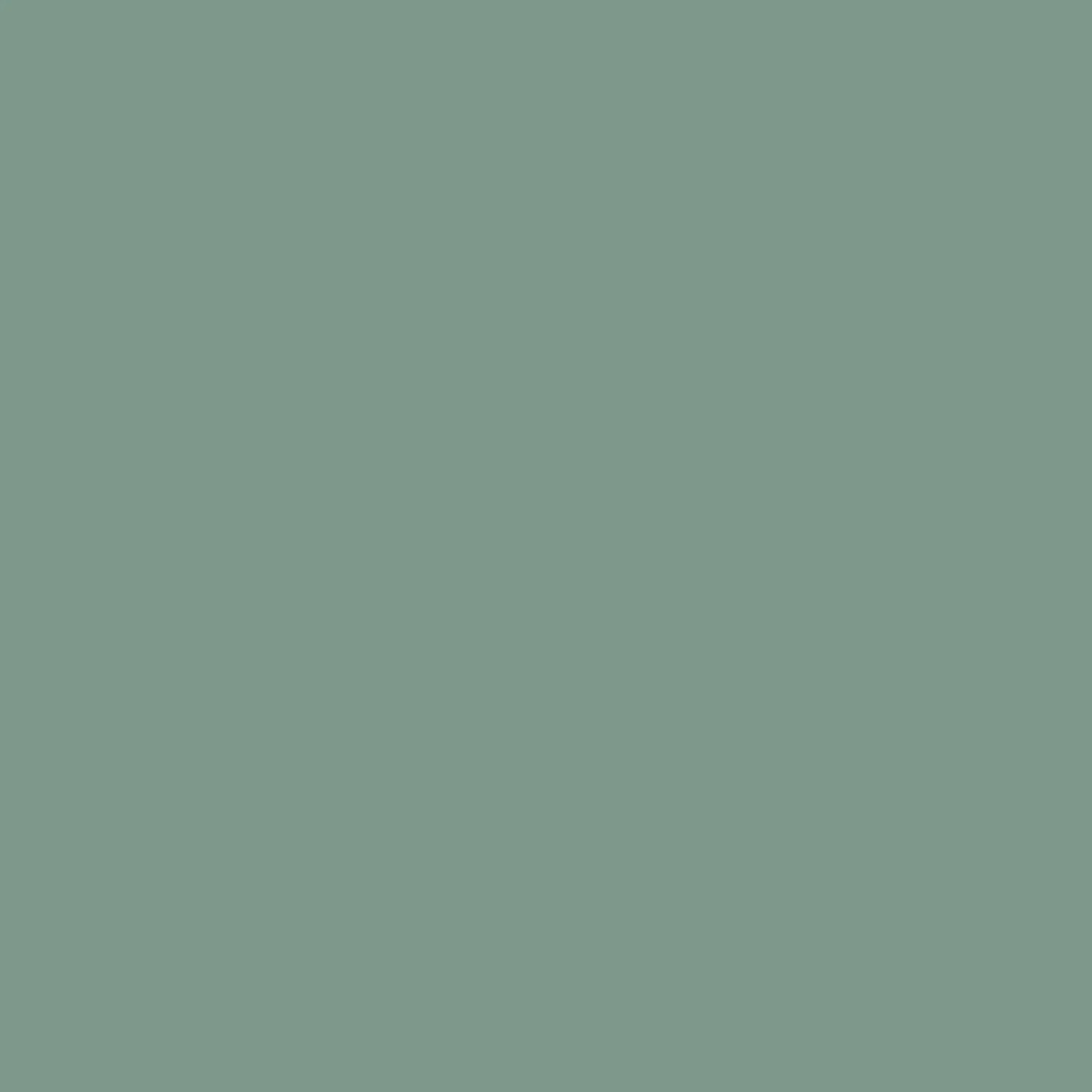 Little Dutch Wandfarbe Pure Mint Grün, matte, skandinavische Farbe für Wände und Decken.