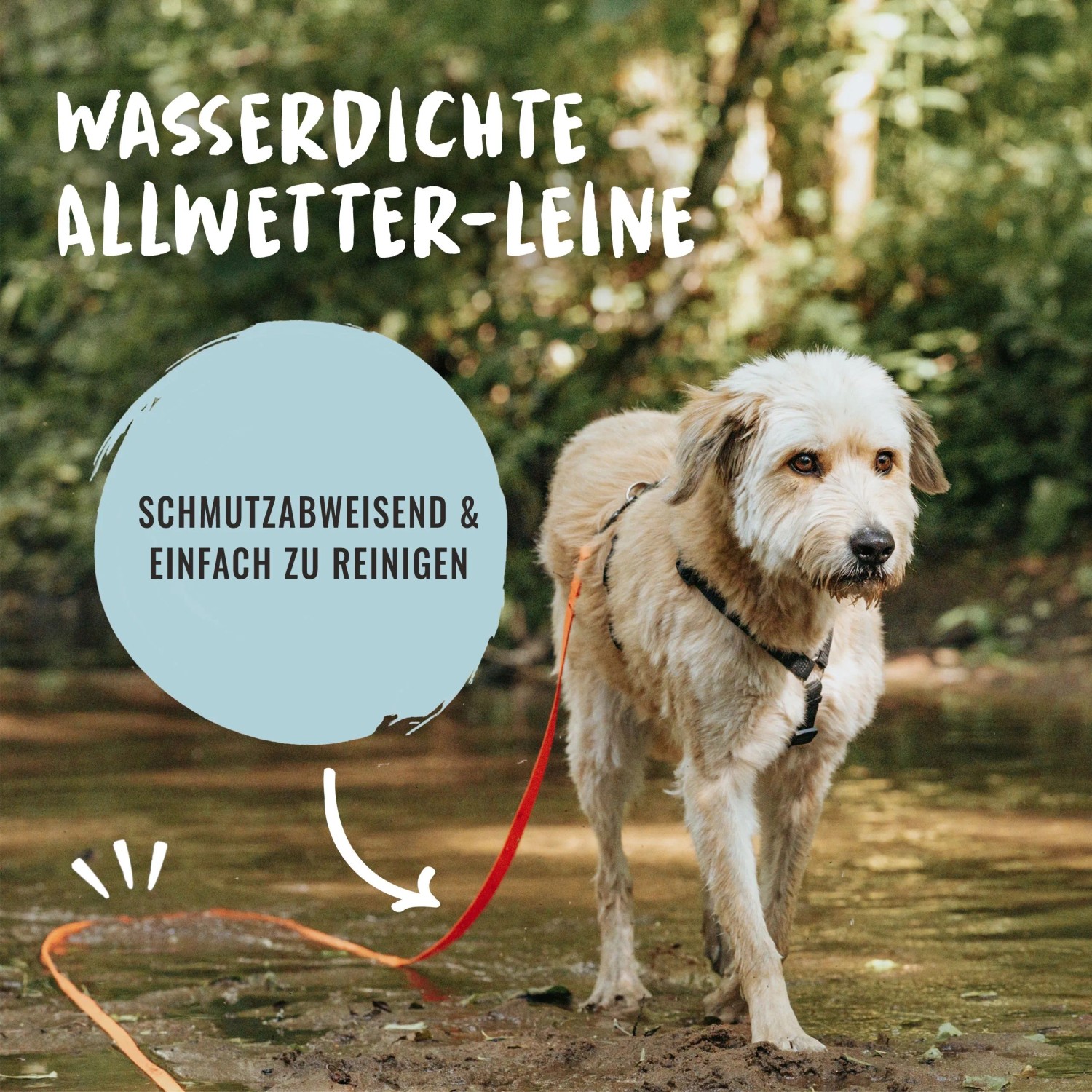 Orange Rudelkönig Schleppleine (10 m) für Hunde im Einsatz, wasserabweisend und gut sichtbar.