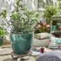 Taupefarbener Wagner WPC Pflanzenroller Ø 38,5 cm mit Pflanze im Garten.