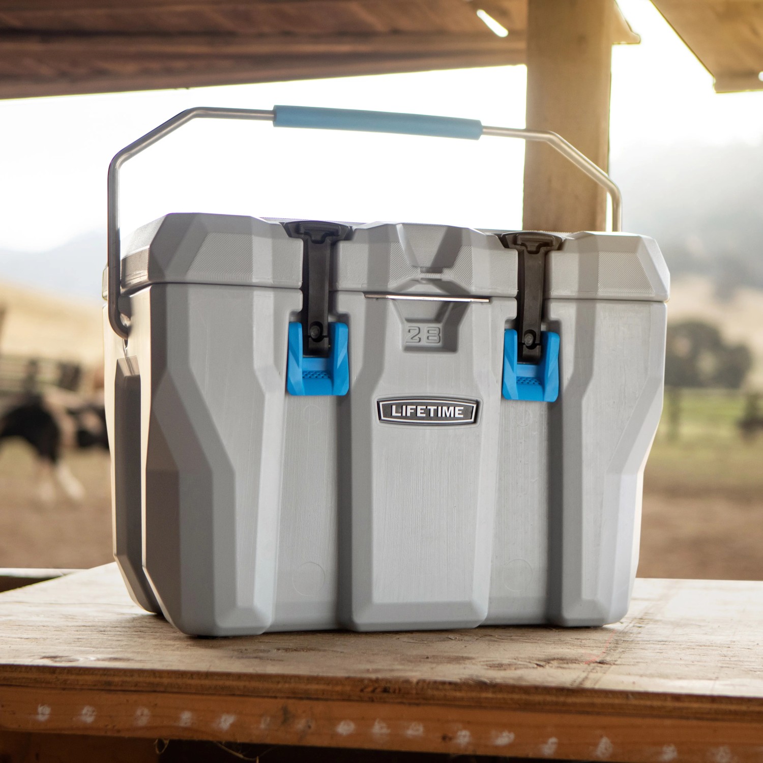 Graue Lifetime Kühlbox mit Tragegriff, 26,5 Liter, ideal für Camping und Outdoor.