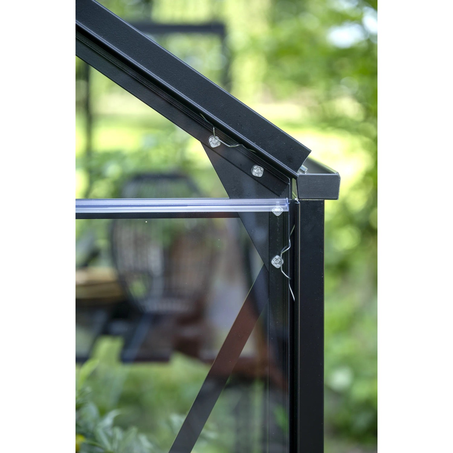 Detailaufnahme: Schwarzes Halls Gewächshaus Popular 106 mit Sicherheitsglas und Aluminiumrahmen.
