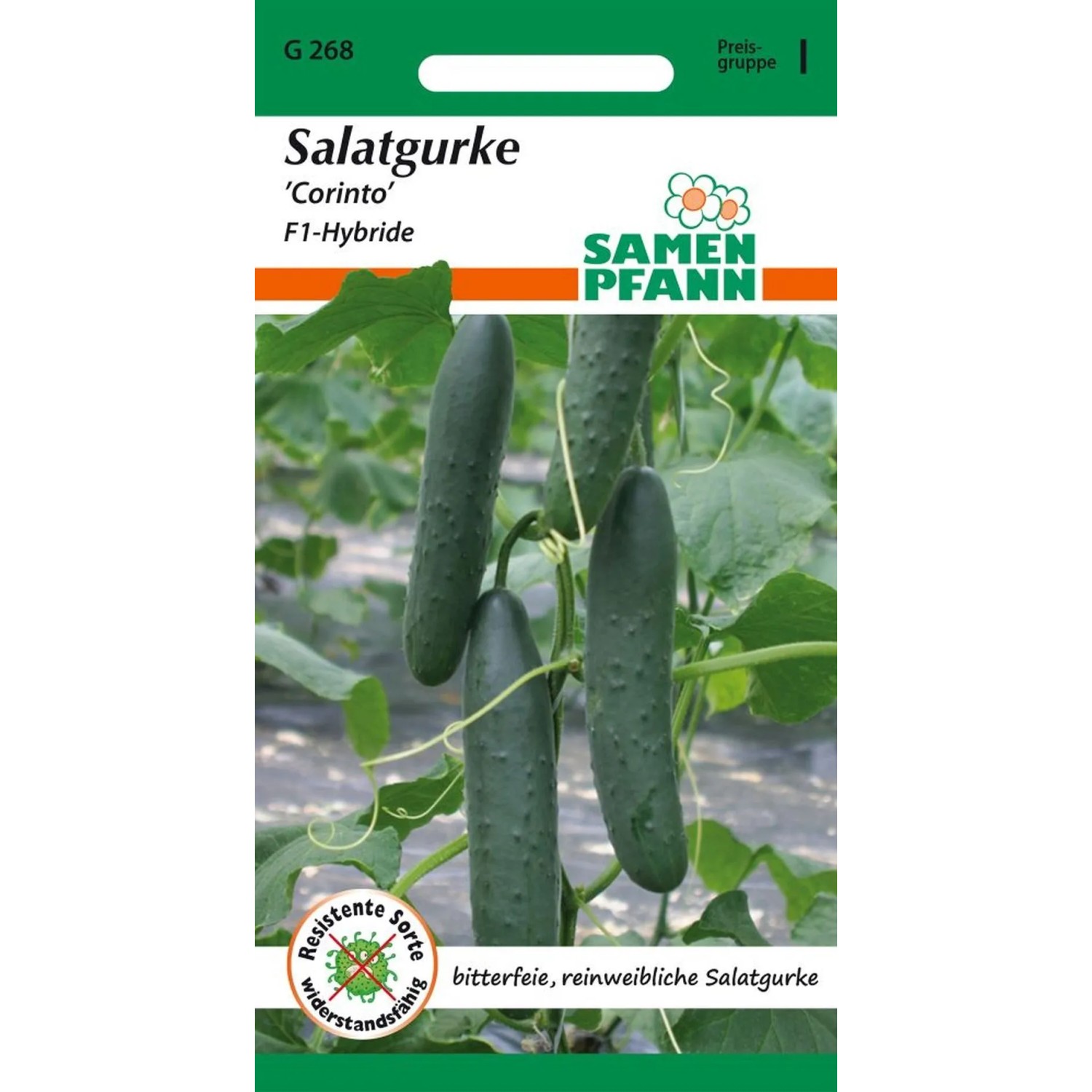 SAMEN PFANN Salatgurke Freiland-Salatgurke Corinto F1 günstig online kaufen
