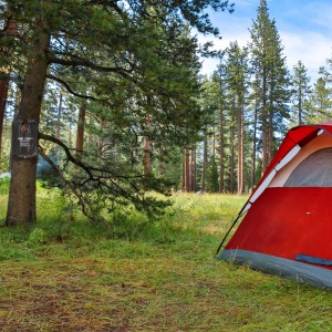 Aufgebautes Campingzelt mit Relaxdays Campingdusche am Baum befestigt im Outdoor Bereich.