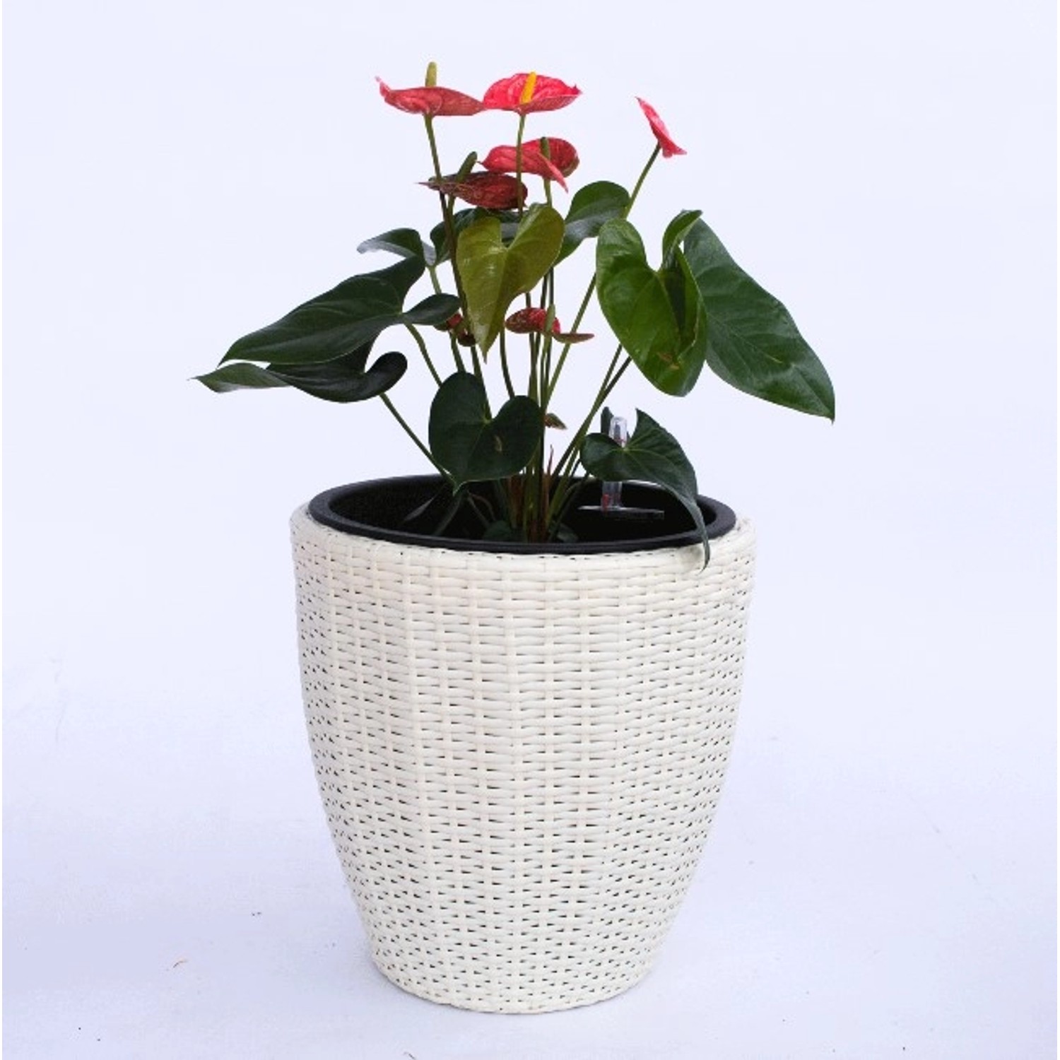 Elegant Einrichten Pflanzkübel Polyrattan Rund-Konisch D37xH37cm Creme-Weiß günstig online kaufen