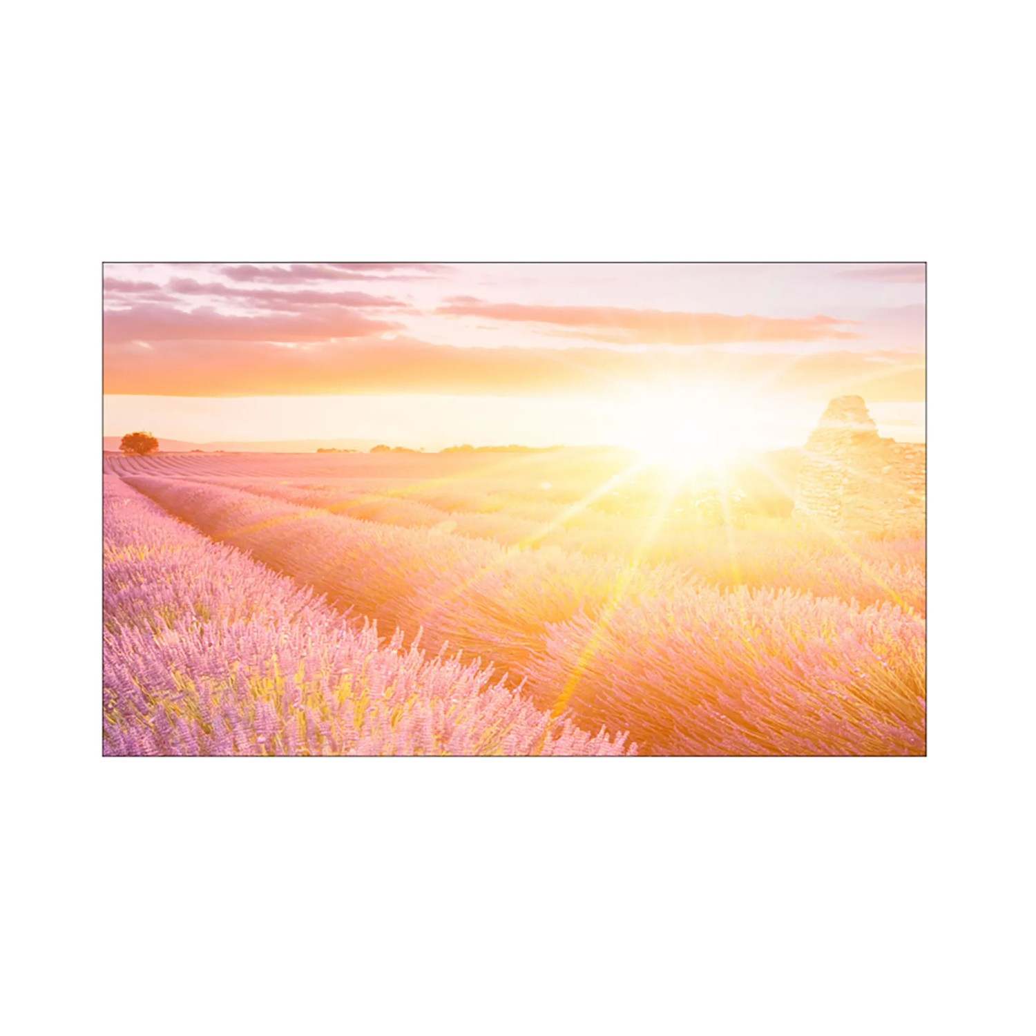 MySpotti Küchenrückwand Profix Cucina Provence 100 x 60 cm Lila Mix