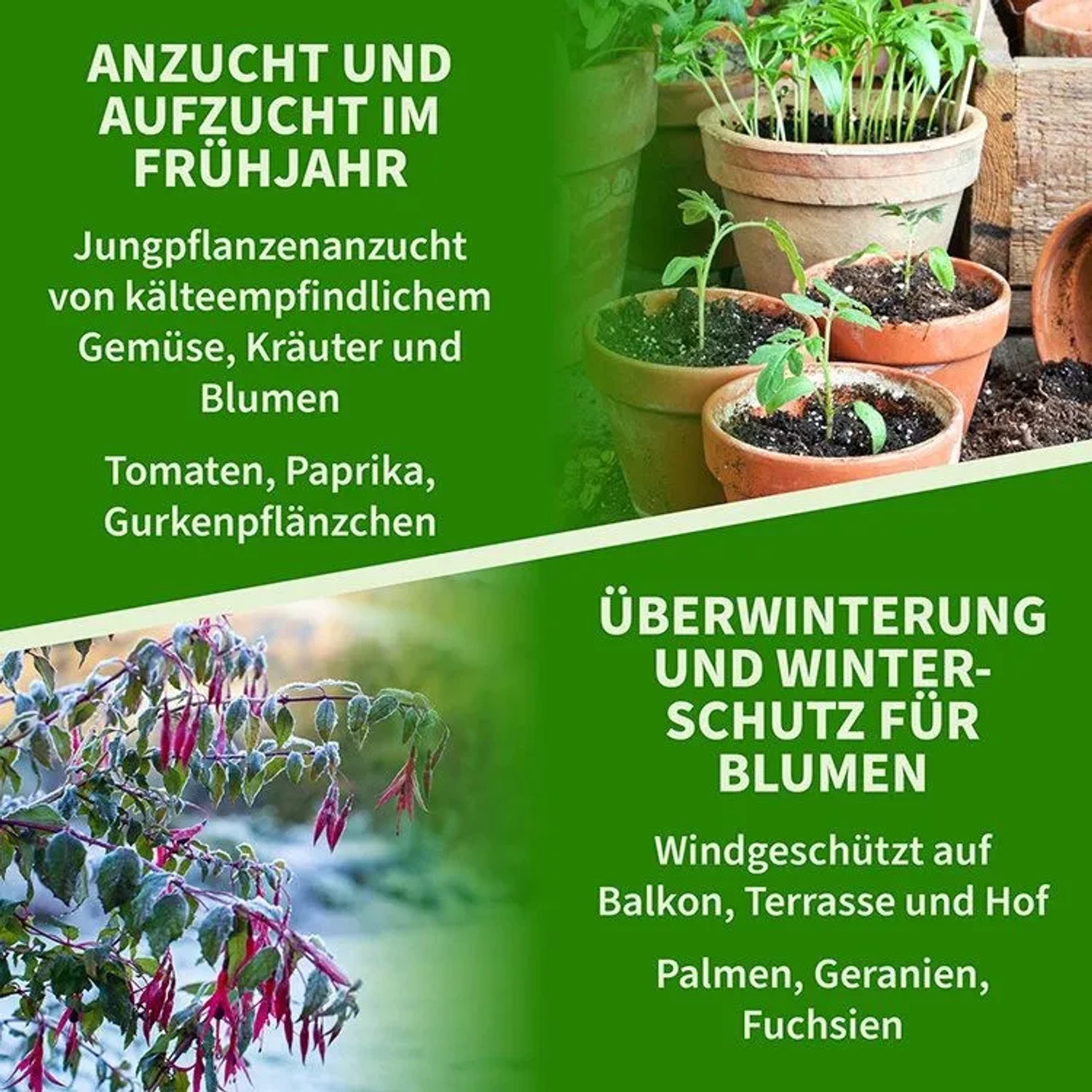 Jungpflanzenanzucht von Tomaten, Paprika, Gurken. Winterschutz für Blumen, Palmen, Fuchsien. Ideal für Ihr Gewächshaus.