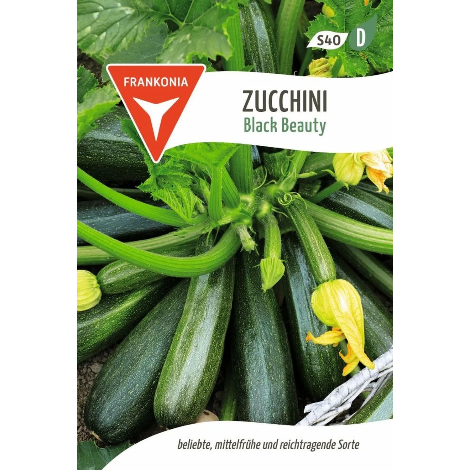 FRANKONIA Zucchini Black Beauty