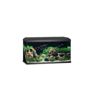 Juwel Aquarium-Set Primo 110 Schwarz