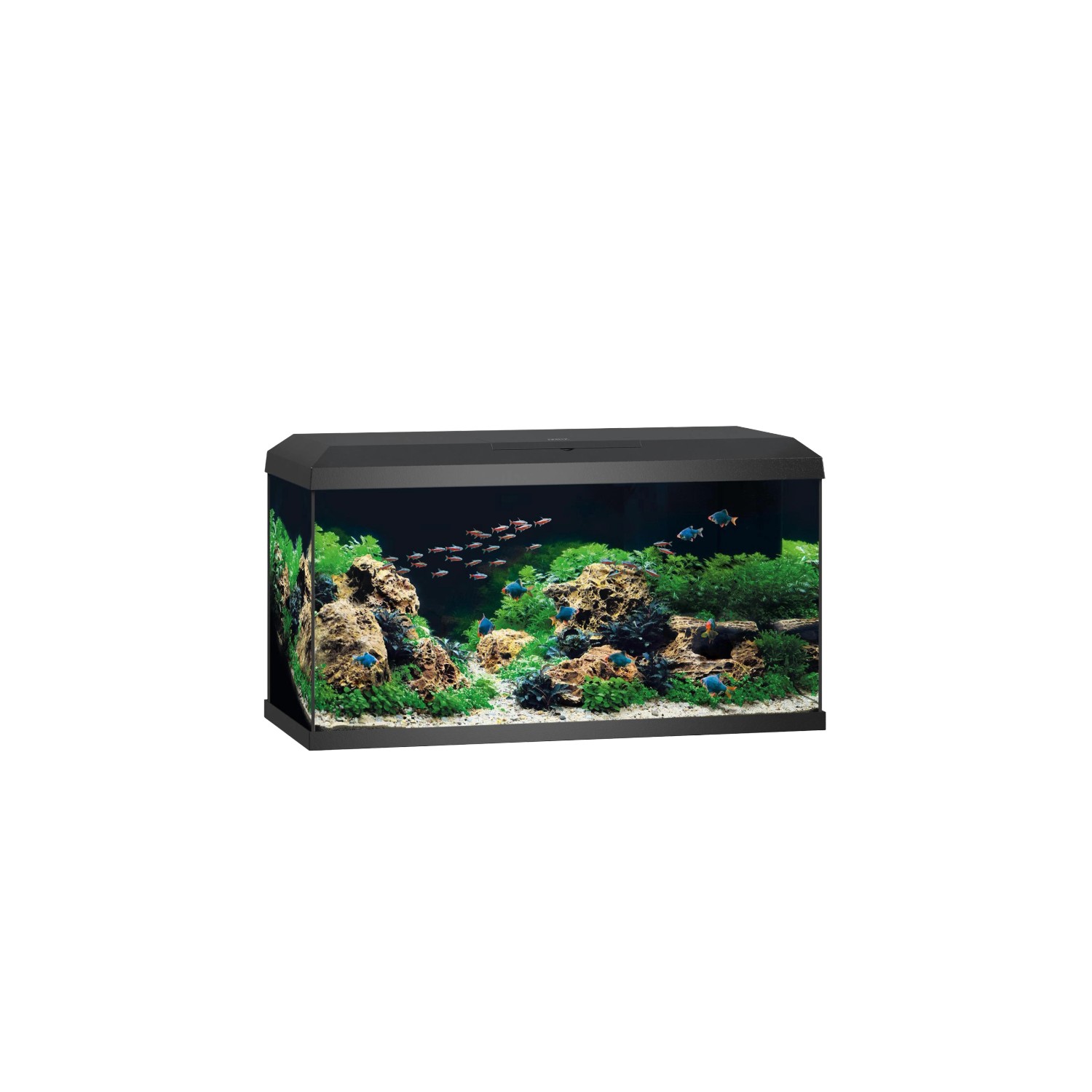 Juwel Aquarium-Set Primo 110 Schwarz
