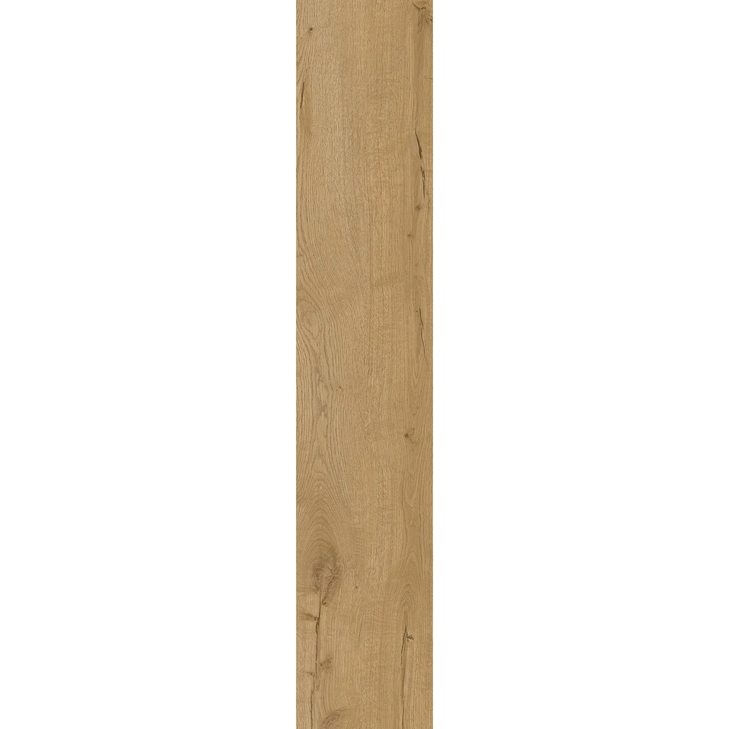 Klick-Vinylboden Eiche Farum, Holzoptik mit Trittschalldämmung.