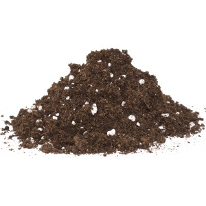 Floragard Spezialerde für fleischfressende Pflanzen, geeignet für Sonnentau und Venusfliegenfallen.