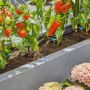 Gardena Tropfbewässerung Set für Terrasse mit Tomaten- und Paprikapflanzen im Pflanzkasten.