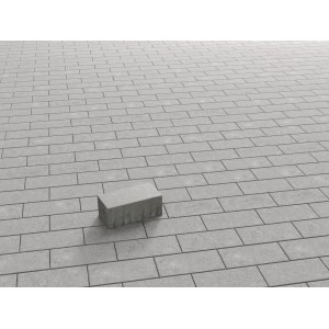 Graues Rechteck-Pflaster aus Beton (20x10x8 cm) auf verlegter Fläche.