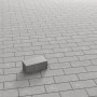 Graues Rechteck-Pflaster aus Beton (20x10x8 cm) auf verlegter Fläche.