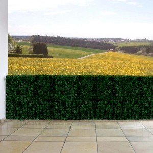 PROREGAL Balkonsichtschutz Zaun mit dunkelgrünen Blättern auf Terrasse, bietet Privatsphäre.