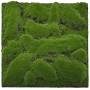 Jangal Wandpaneel Forest Green Moos, 52x52cm, für individuelle Wanddekoration.