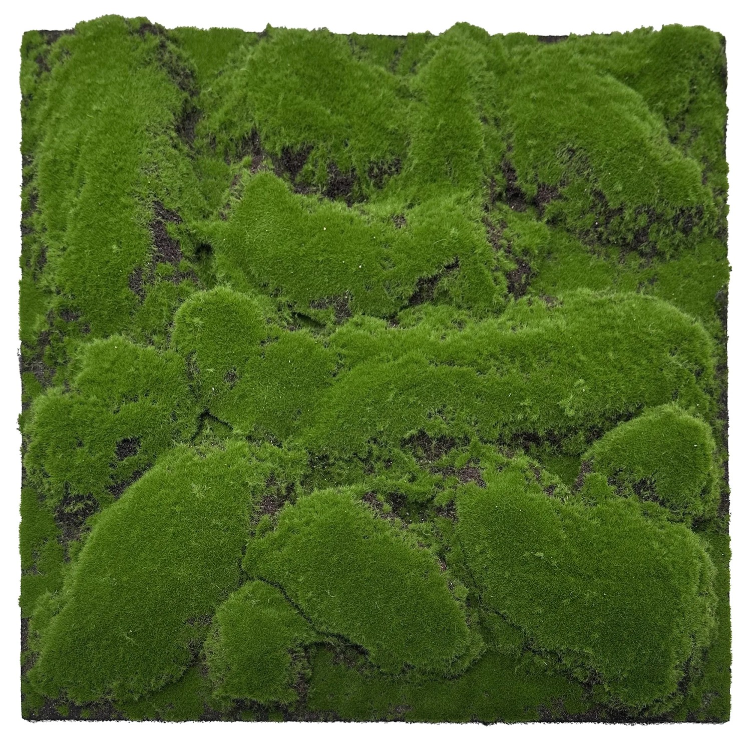 Jangal Wandpaneel Modular Wall Forest Green Big Bulk Moos 52 x 52 cm